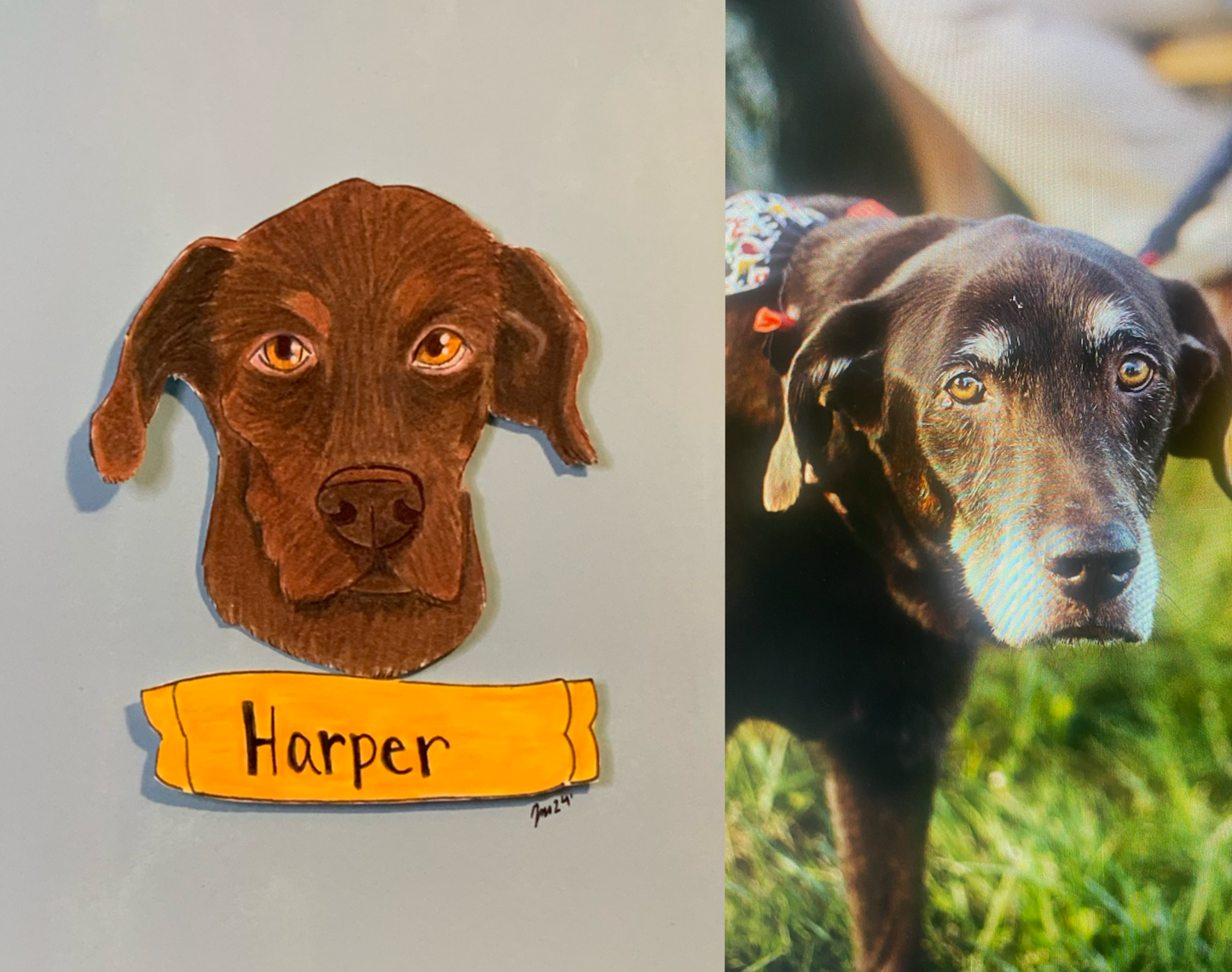 Custom Hand Illustrated Pet Portrait