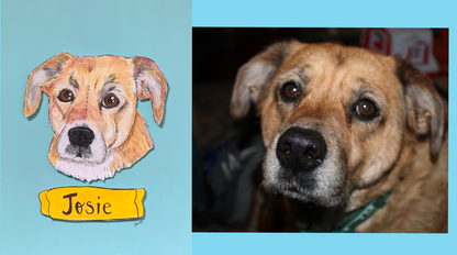 Custom Hand Illustrated Pet Portrait