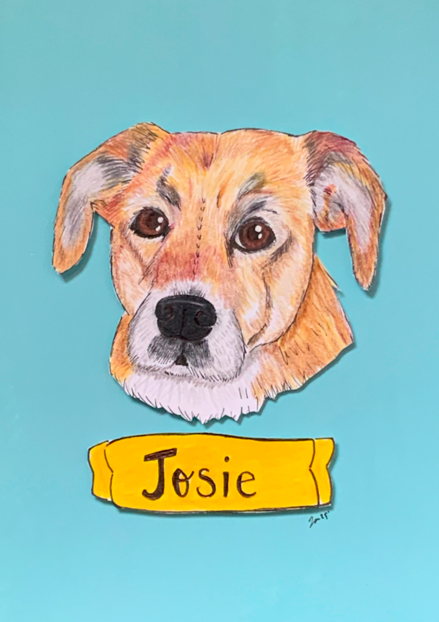 Custom Hand Illustrated Pet Portrait