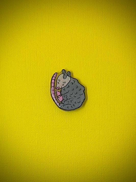 Opossum Magnet